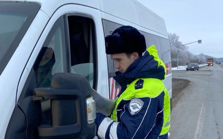    Фото: ГАИ Марий Эл Иван Бездомный