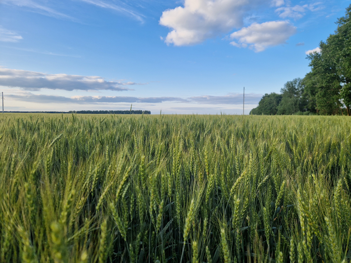 Тульская область