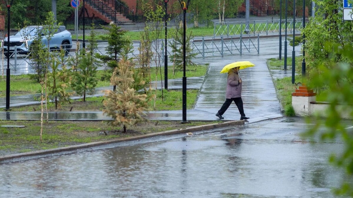    Фото: Фёдор Воронов / «Ямал-Медиа»