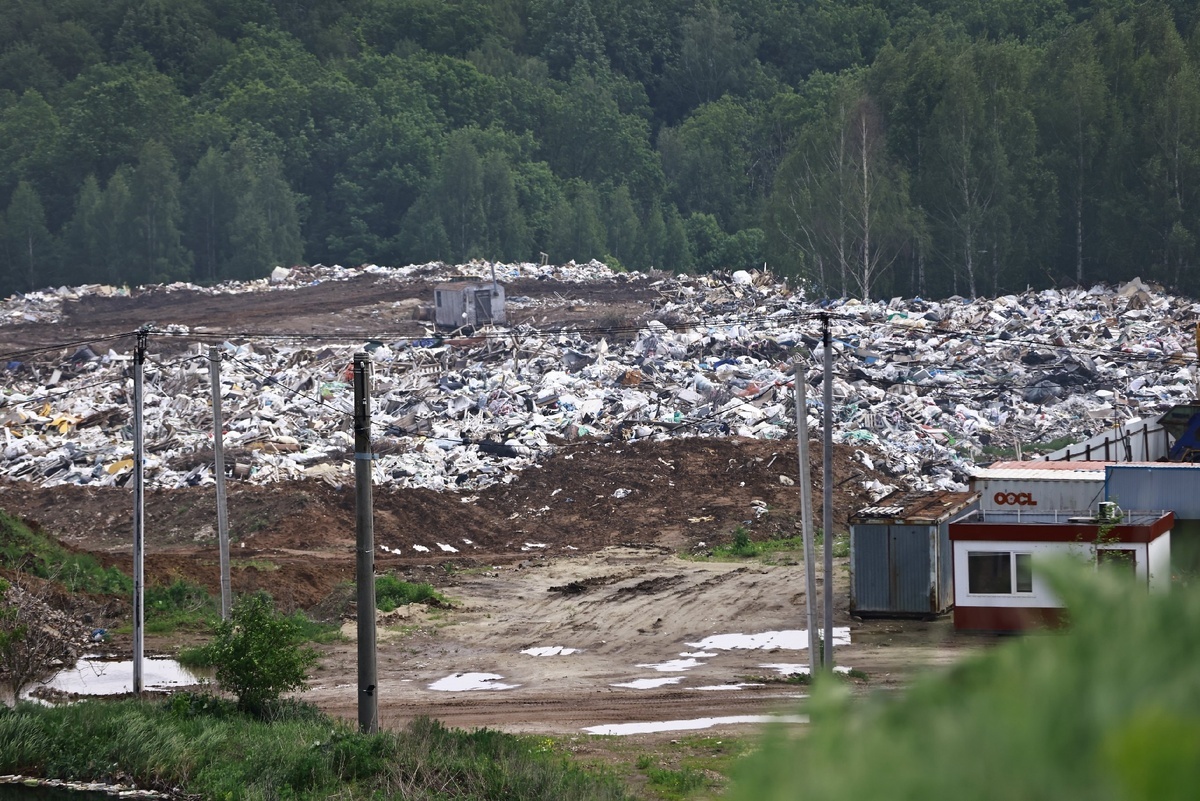 Автор фото: Павел Хацаюк / ИД «Вечерняя Казань»