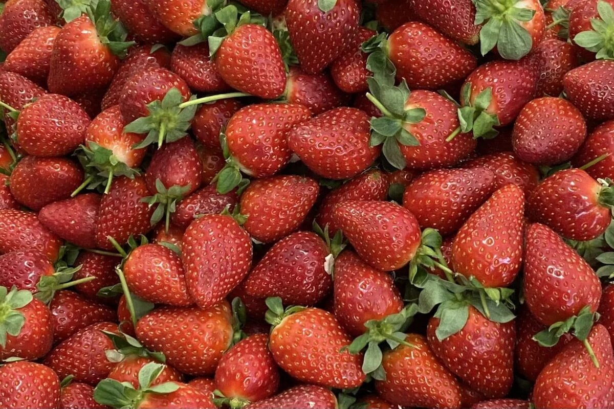 Фото: UfacityNews.ru