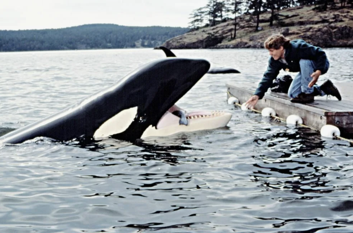 кадр из фильма "Освободите Вилли"