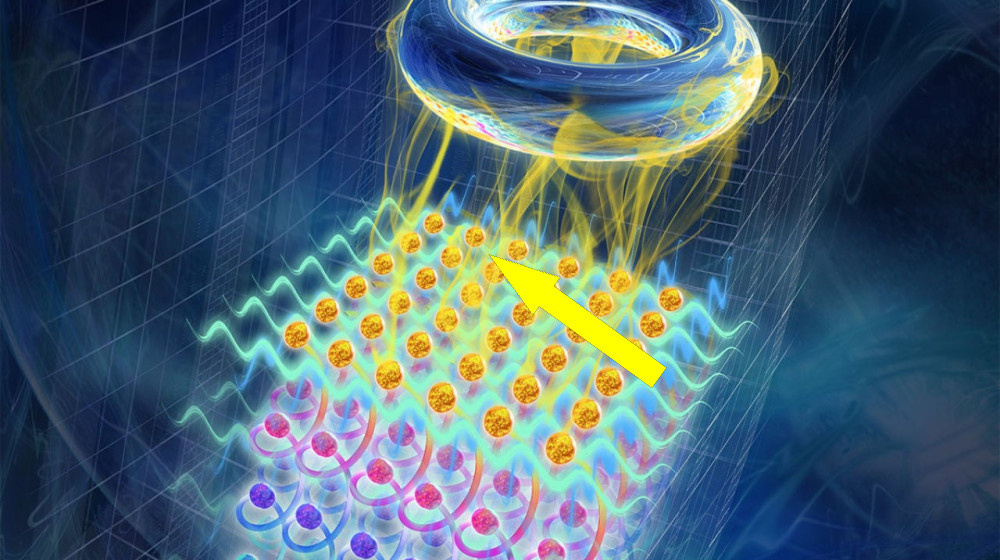    Бесконечные знания в одной книге: правда или миф о предметах-книгах