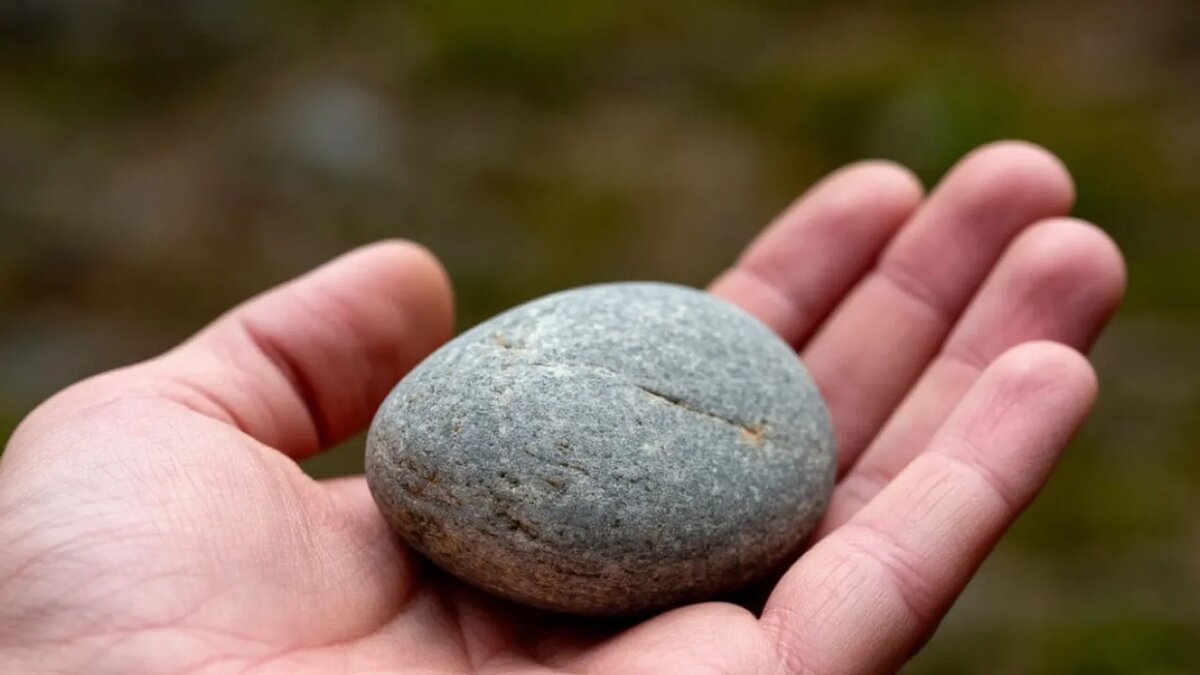    Сгенерировано ИИ