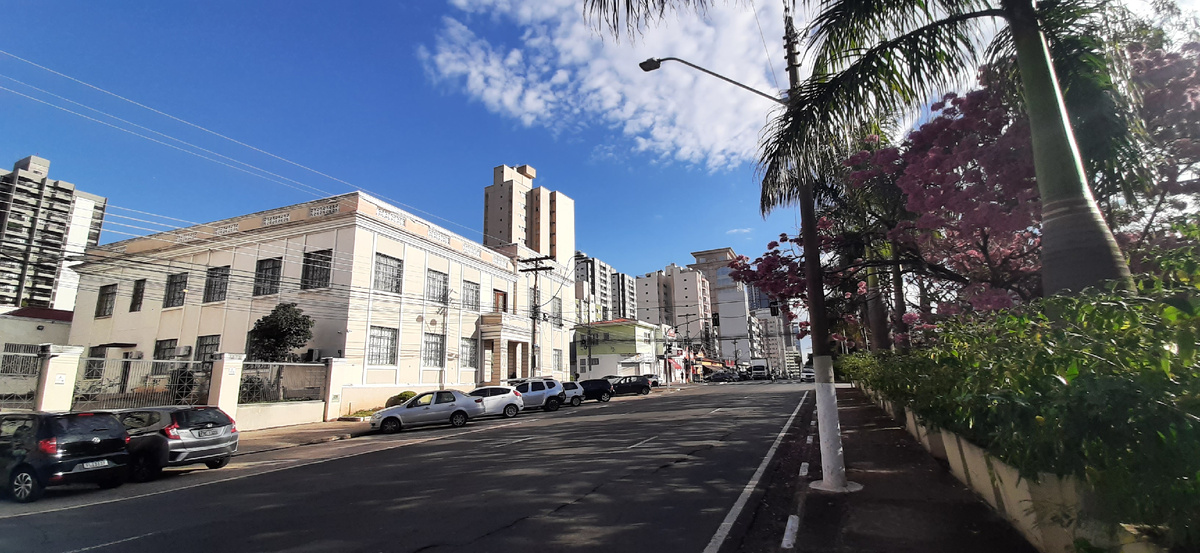 Бразилия, город Кампинас (штат Сан-Пауло).