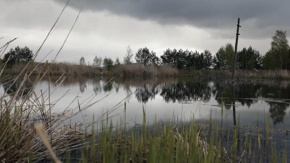 Фото: © Кадр из программы "Загадки человечества", РЕН ТВ