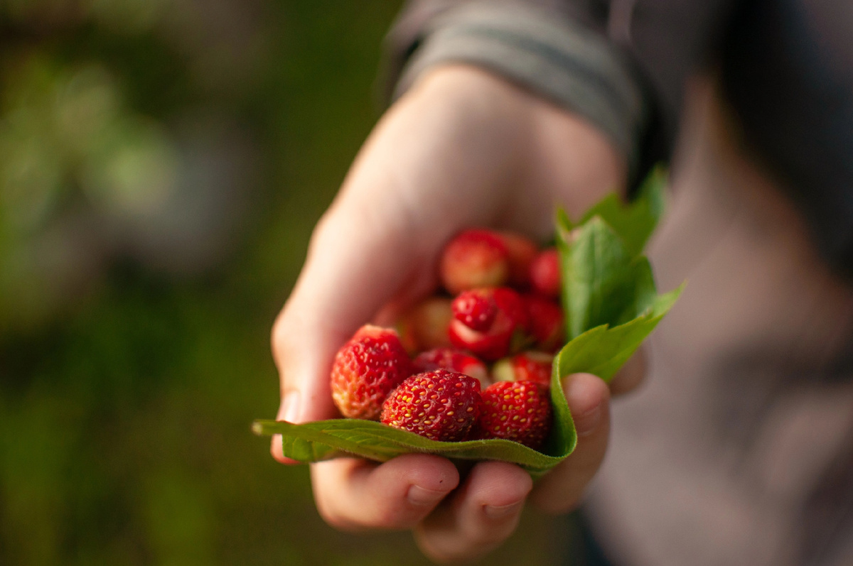 Личное фото