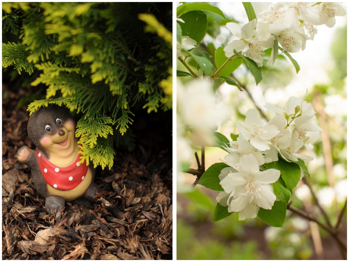 Личное фото