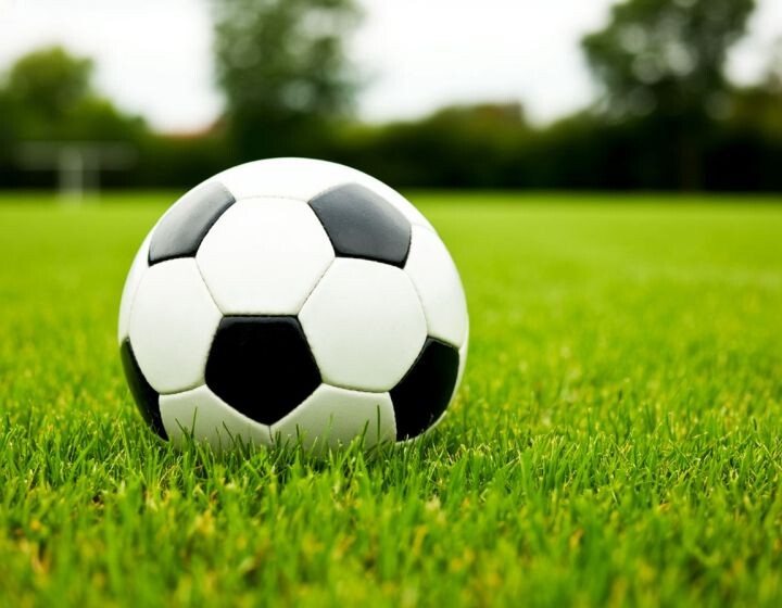    Фото: сгенерировано ии