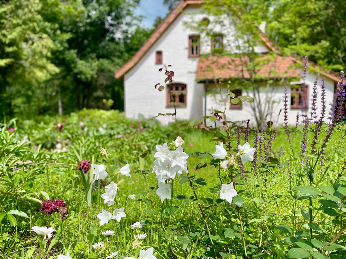 «Аббатство»