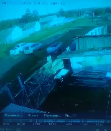 Фото: скриншот записи камеры видеонаблюдения