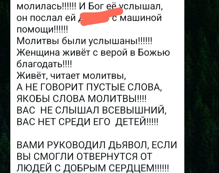 Вот такое мне прислала одна из добрых людей, которая всё делала искрене от души. Сверху о том что корм отдали другому  человеку
