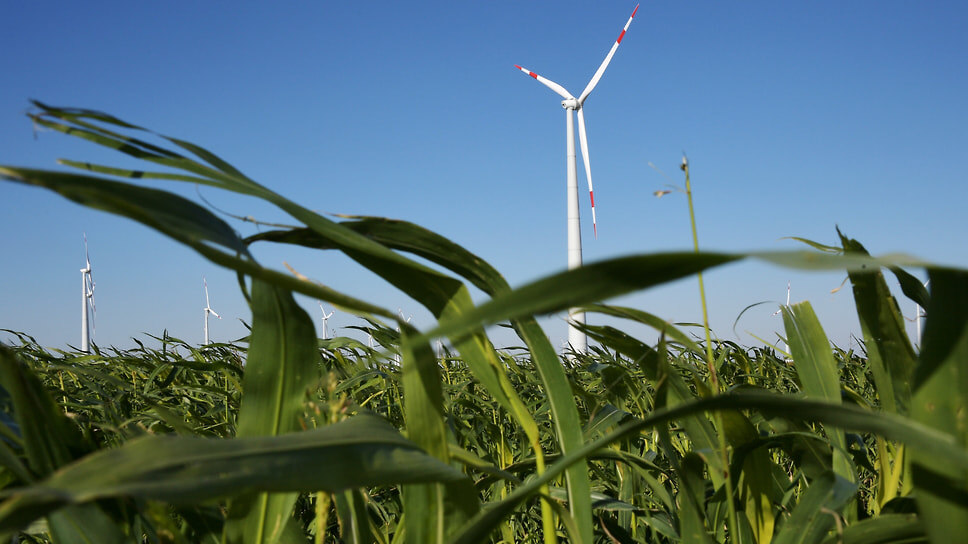 Фото: Глеб Щелкунов / Коммерсантъ