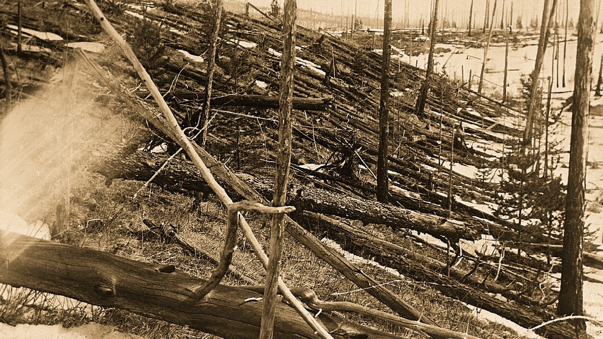 Поваленный лес в районе Тунгуски. Фото экспедиции Леонида Кулика. Масштабы разрушений поражают до сих пор.