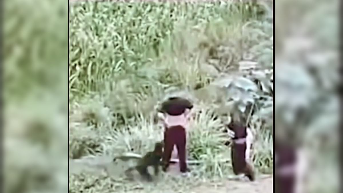 Автор: В. Панченко