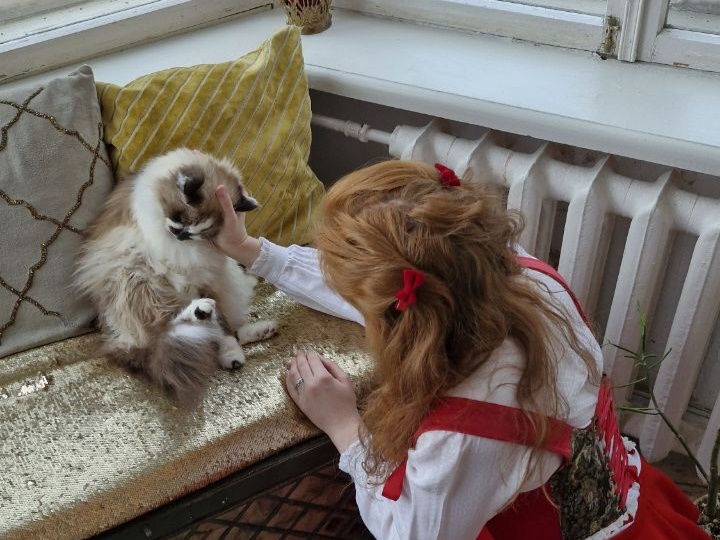 6 дом в знаках зодиака - путь к диалогу с собой!