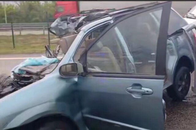    Печальное зрелище поджидало донских водителей на 861-м км трассы М-4 «Дон». Фото: Скриншот из видео/ ГУ МЧС России по Ростовской области