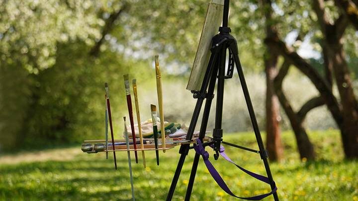  Фото: Анатолий Цымбалюк / Вечерняя Москва