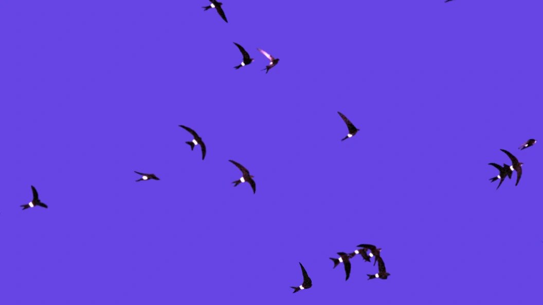    Фото: Konstantin Mikhailov/Globallookpress