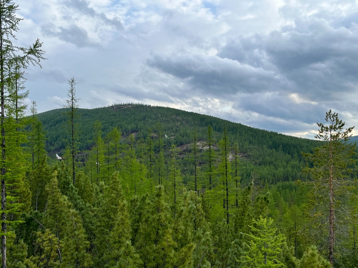 Месторождение Сардана