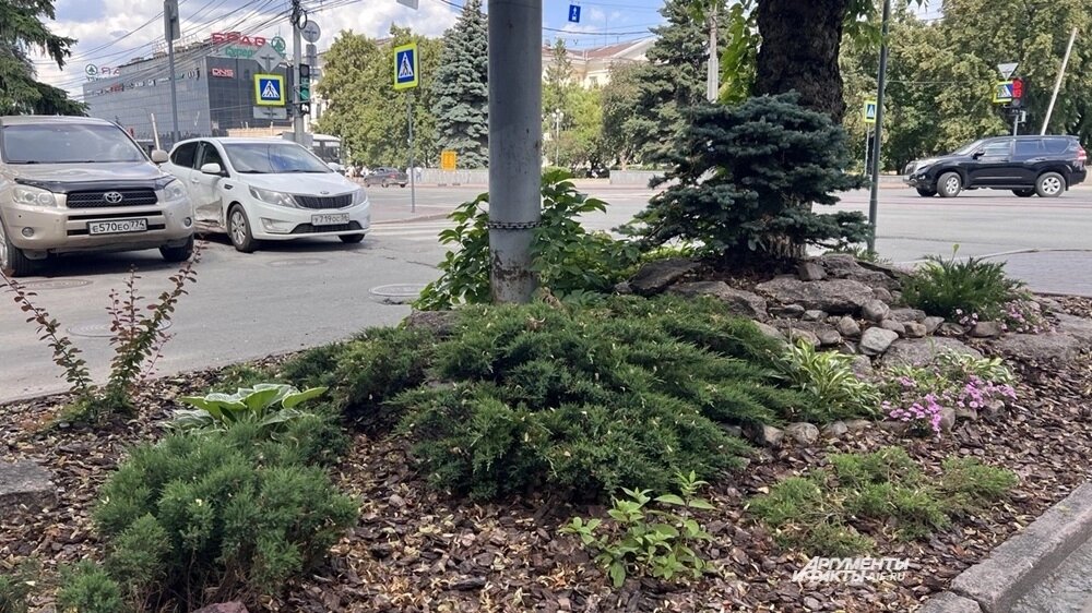    Дизайн-код содержит правила озеленения общественных пространств. Фото: АиФ-Челябинск