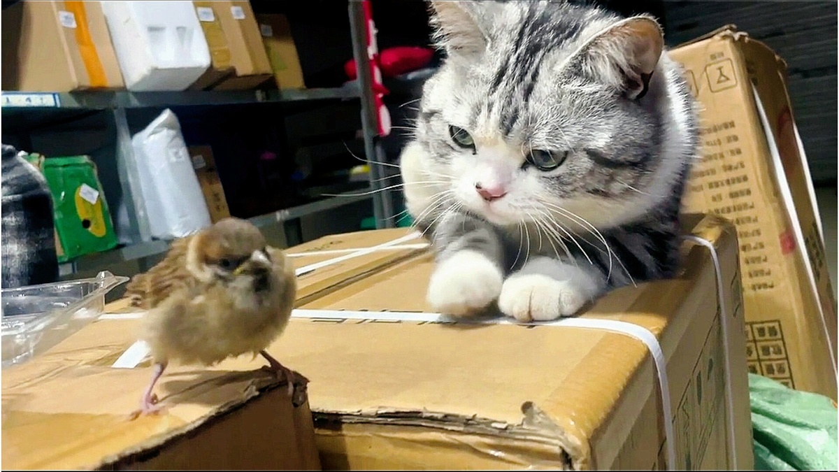 То ли позавтракать, то ли поговорить