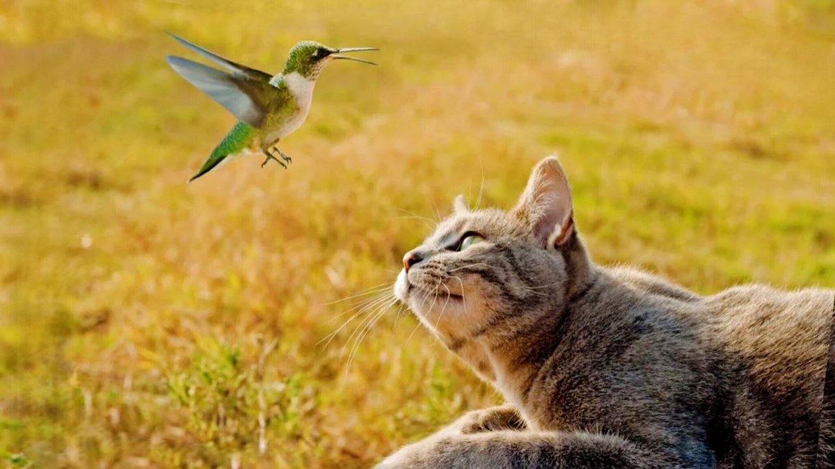 Славный какой завтрак! ЕЩЕ фото --->>