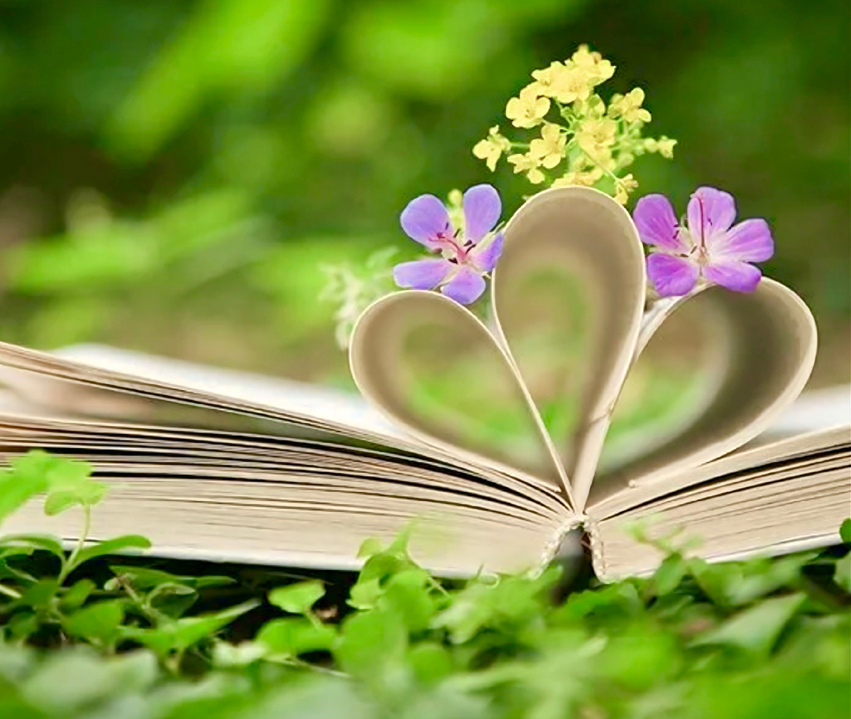 Иногда книга будит. Возникает ощущение, что ты сам её написал. Да, с книгами возможны кармические связи. И, да, ты мог её написать сам в прошлой жизни. Или был рядом с тем, кто её задумал. Или практиковал в жизни то, что изложено на бумаге. Тогда книга прояснит сознание. Ты уже не будешь прежним. Вот почему желательно изучать проверенную временем литературу…   