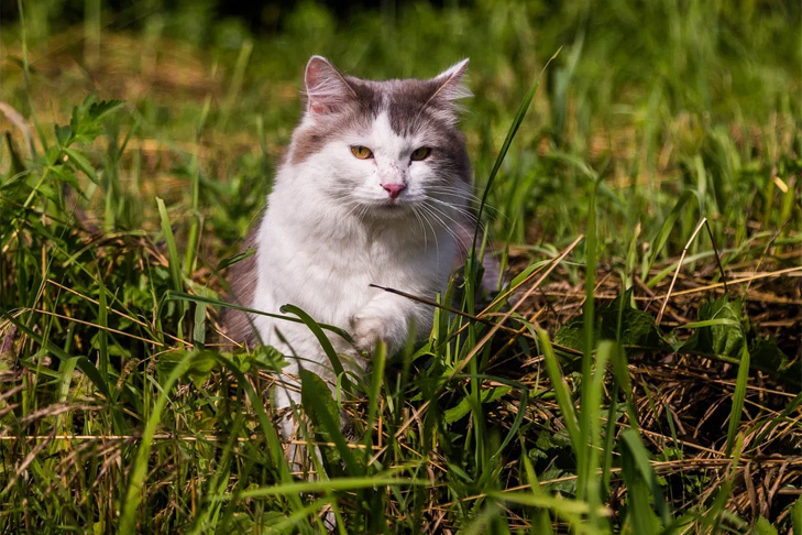    Фото Андрея Заржецкого