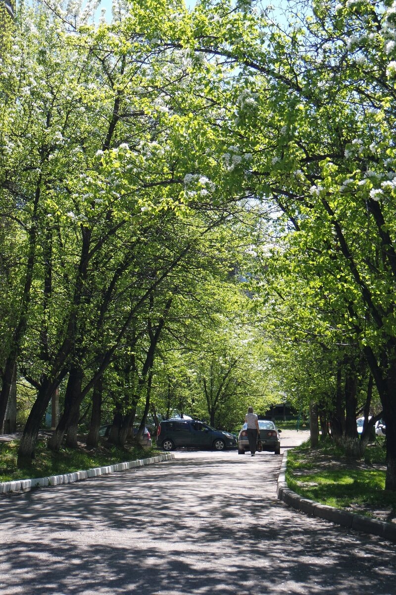микрорайон Солнечный в мае