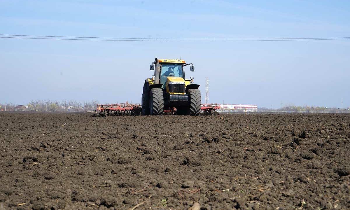    Фото Виктории Перевязко, «Кубань 24»