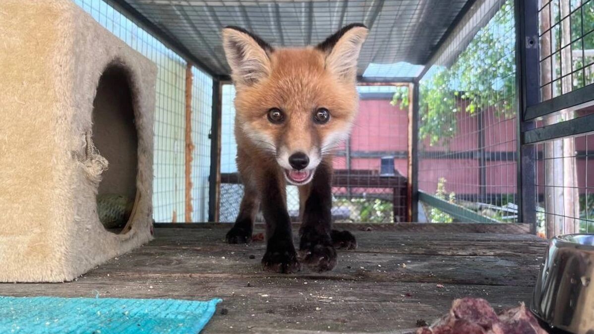    Фото: Яна Джус / «Ямал-Медиа»