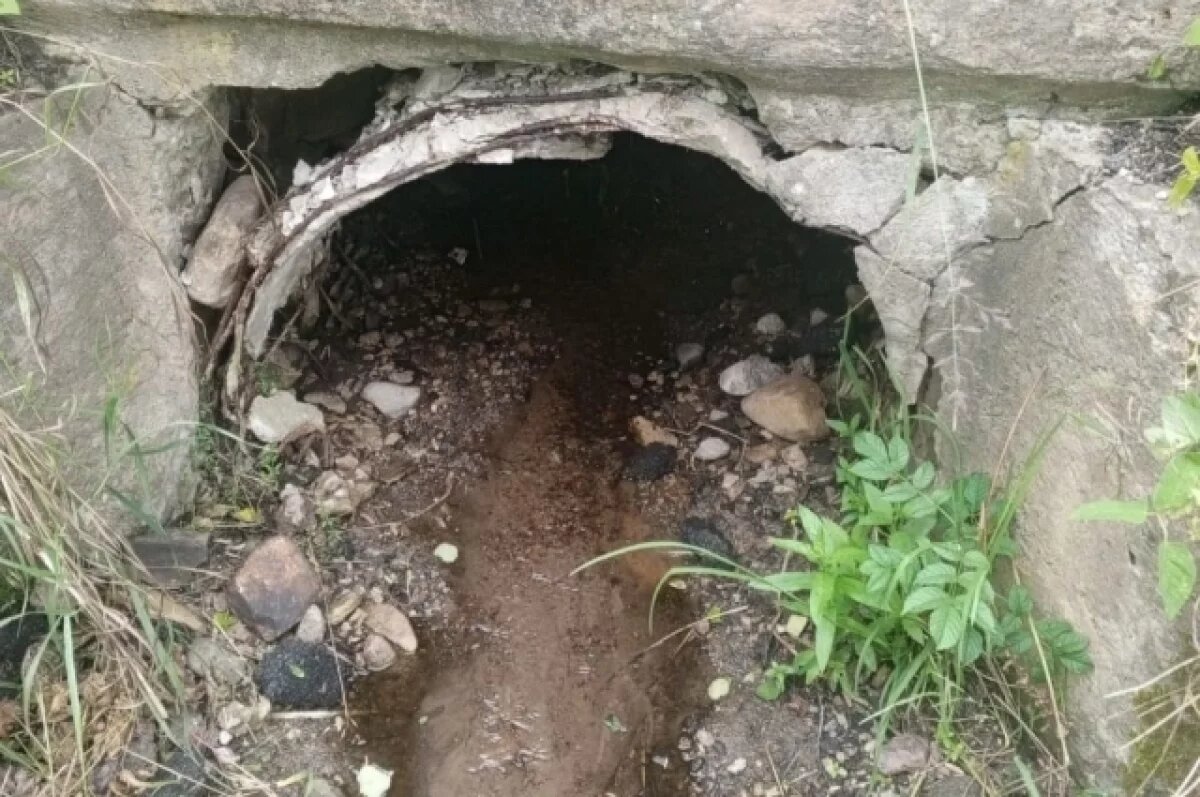    Прохудившаяся труба мешает оттоку воды и она идет на участки местных жителей