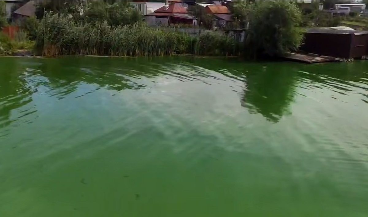     Фото: скрин видео