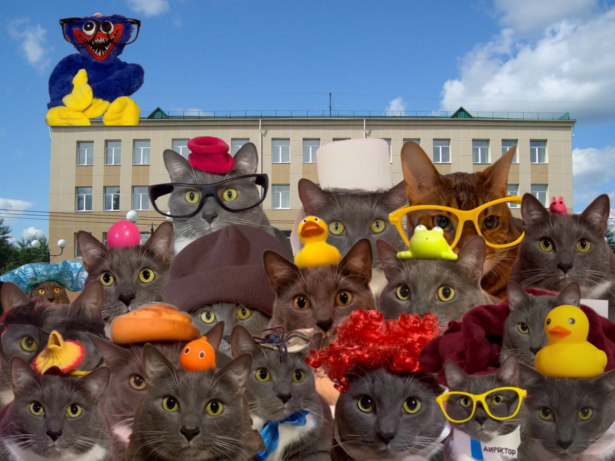 Ученики и учителя Кото-школы (Лотков, Кусев, Котулькин, Рыбкин, Паукова, Тыгыдыков, Одеялкин, Валерий Полосатиков, сторож, продавец булочек, директор, Уткин, Бябясилий, Шариков, Бумажкин, Кот Бибиби, Хагги Ваггиевич)