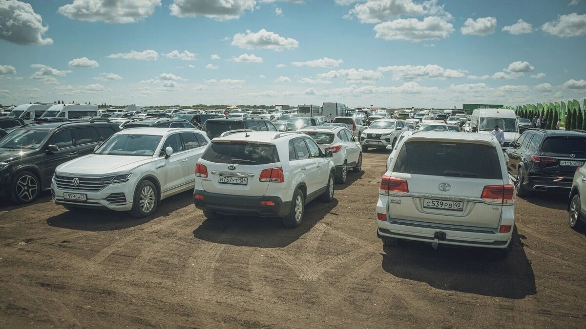     Автор: Антон Засимов Источник: novostivolgograda.ru