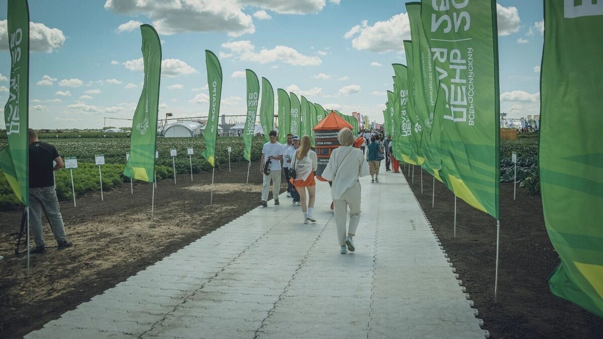     Автор: Антон Засимов Источник: novostivolgograda.ru