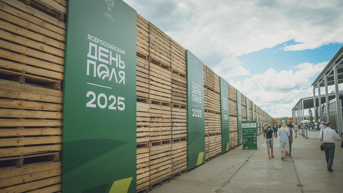     Автор: Антон Засимов Источник: novostivolgograda.ru