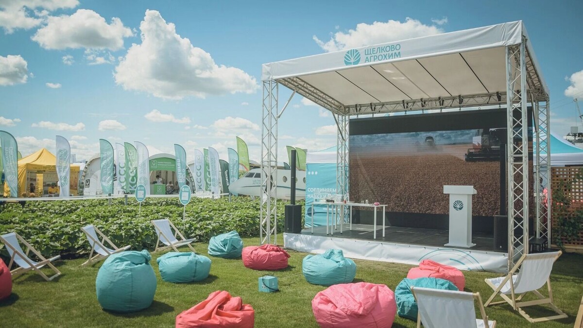     Автор: Антон Засимов Источник: novostivolgograda.ru