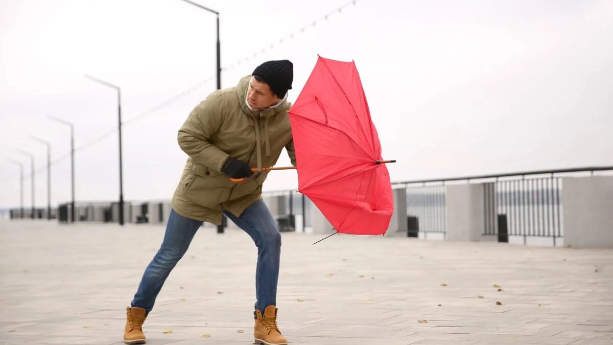    Фото: New Africa / Shutterstock / Fotodom