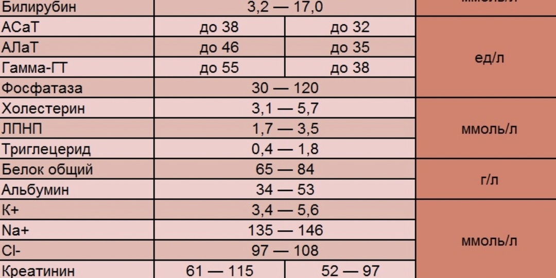 Что говорит о вас биохимия крови: 5 ключевых показателей