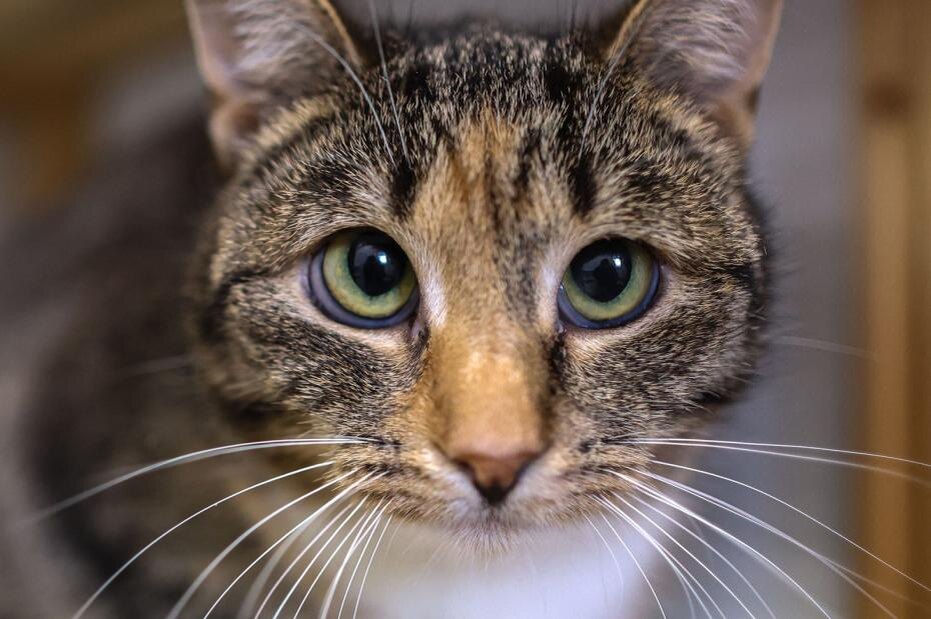    Алексей Белкин/NEWS.ru