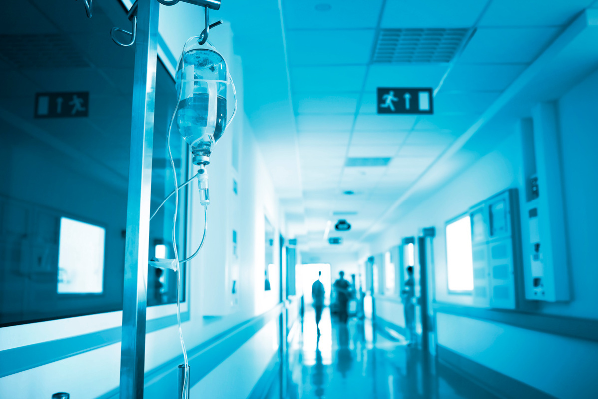    Фото: sfam_photo / Shutterstock.com