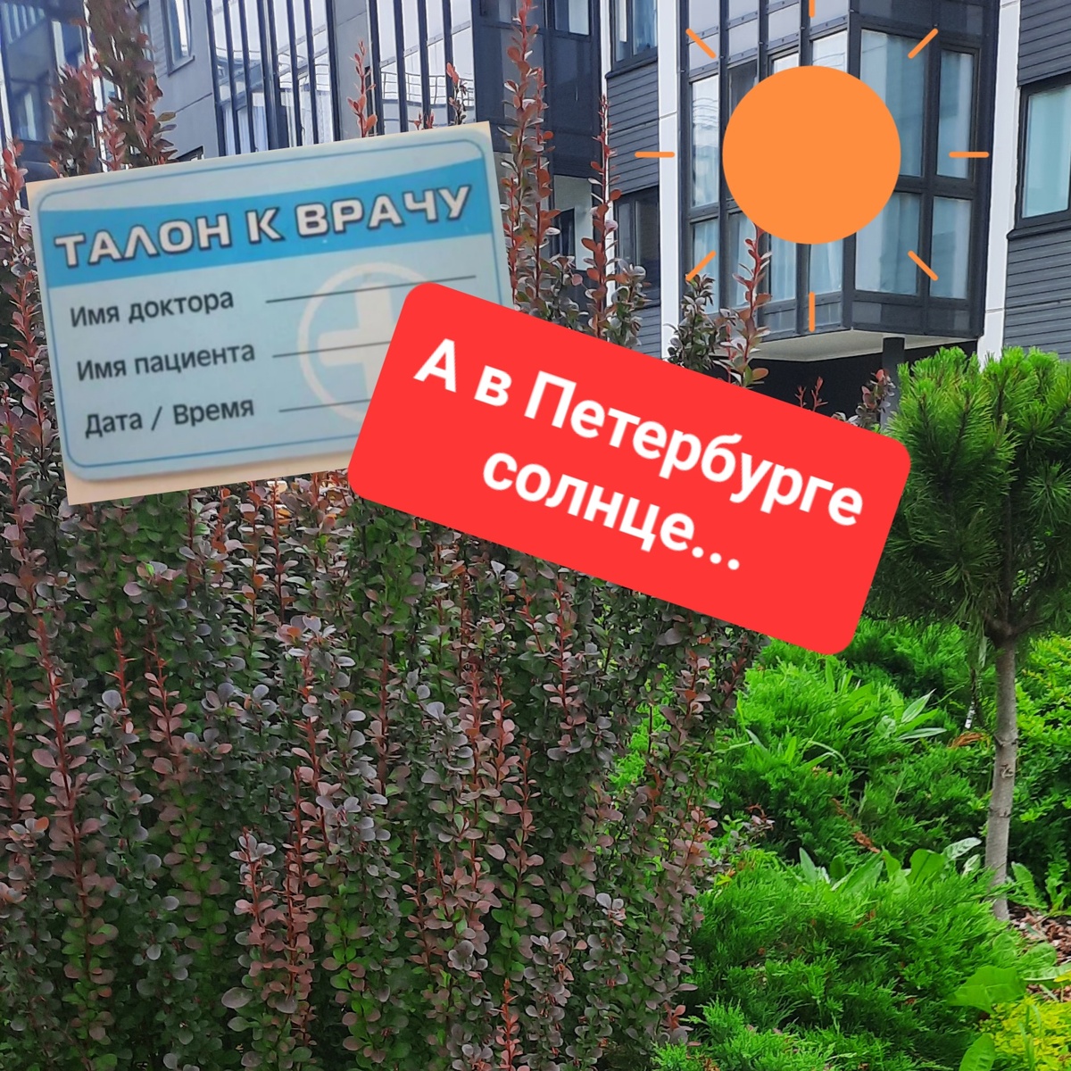 Коллаж автора 