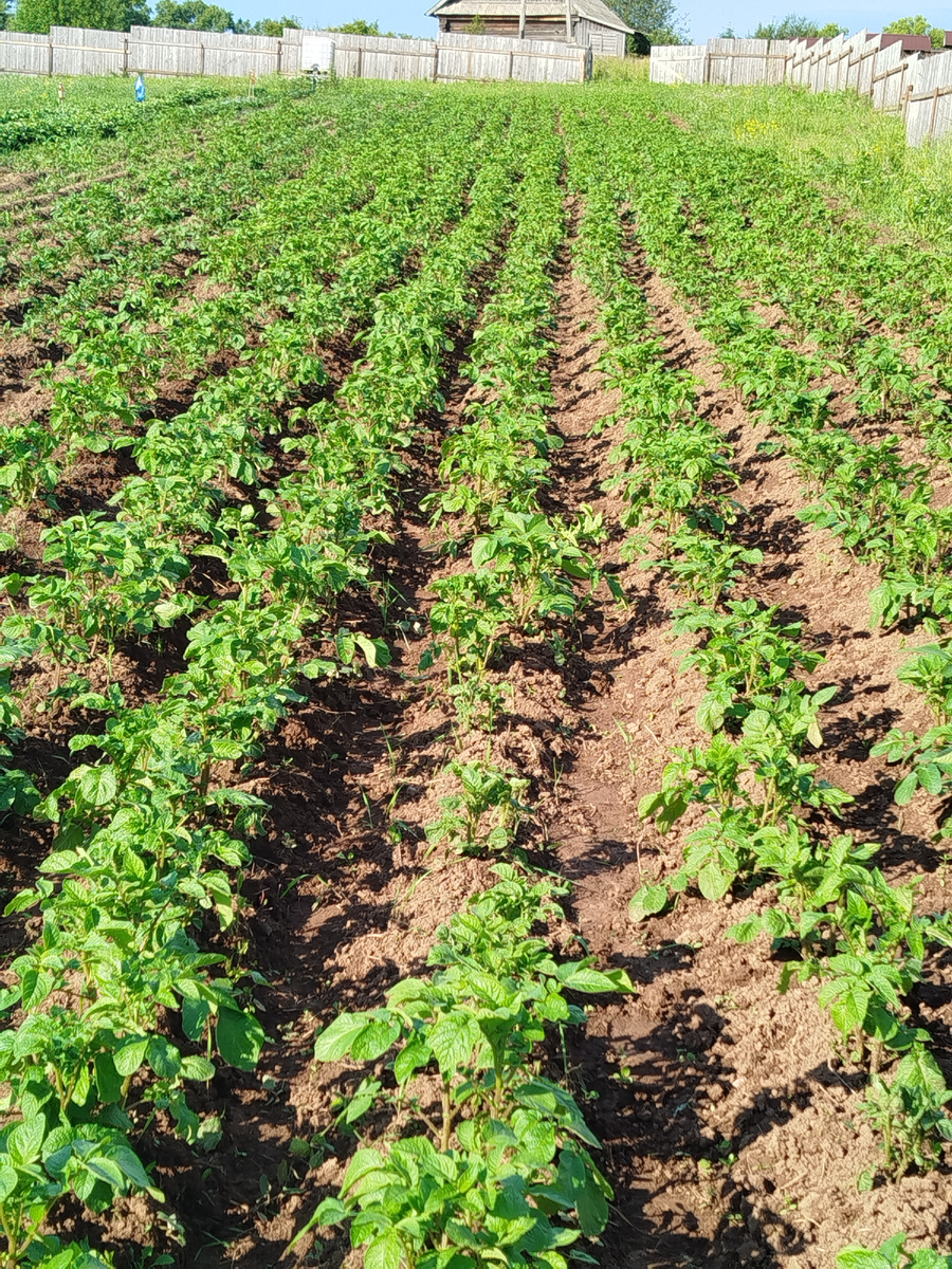 Маленькая, но трудная из-за погоды победа.