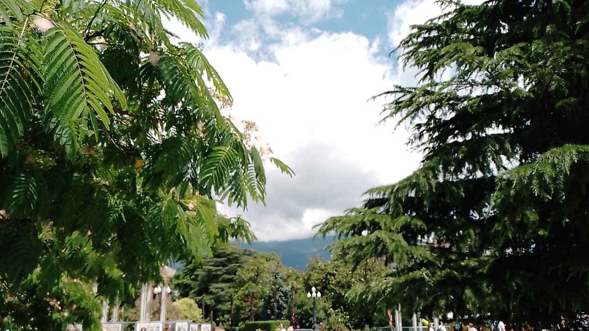 Фото автора. 