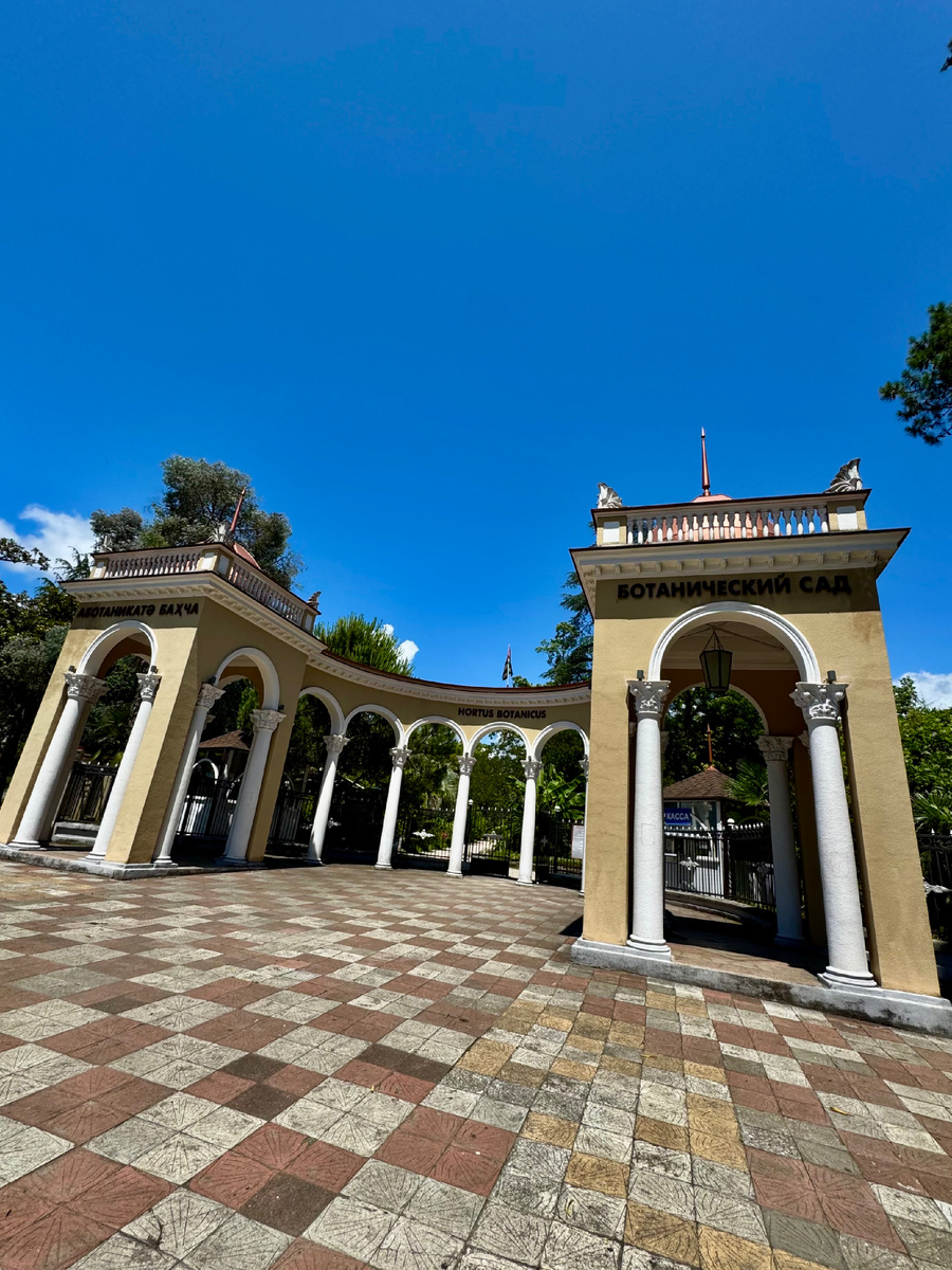 Ботанический сад в Сухуме.