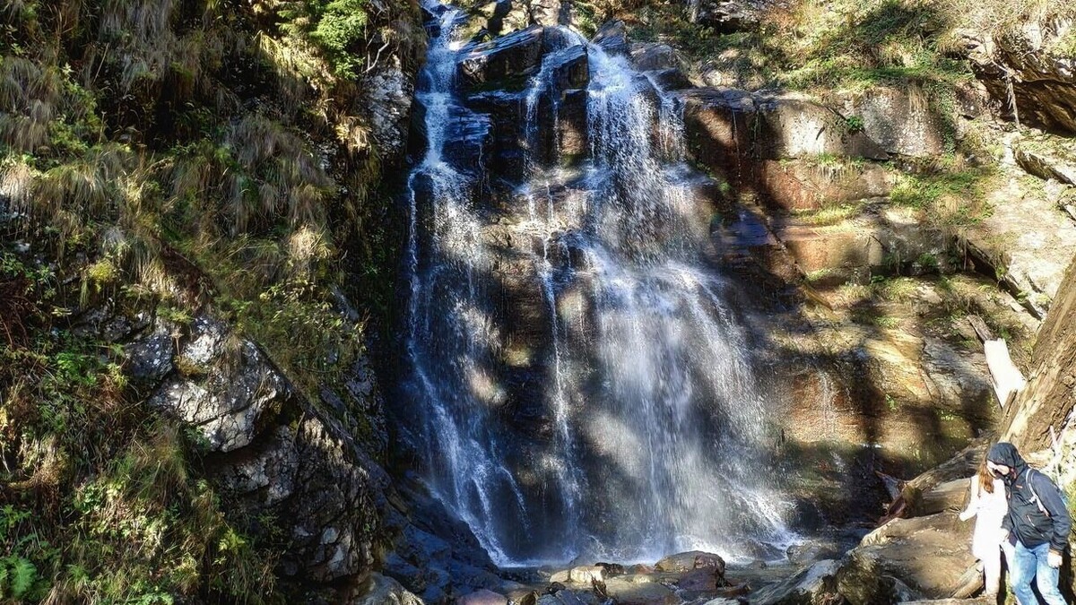     Источник: 1MI