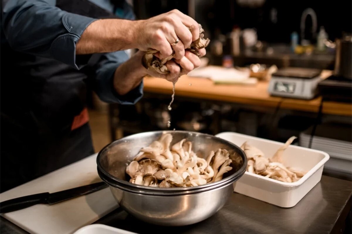    Миколог предостерегает от добавления в компост очисток вешенок и опят.