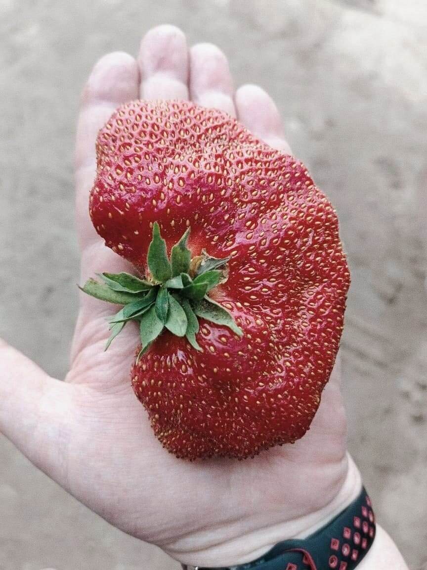 У моей мамы поистине доброе сердце. Я повзрослел и теперь гораздо лучше понимаю многое. Родителей бесконечно Благодарю. С добротою в сердце. 